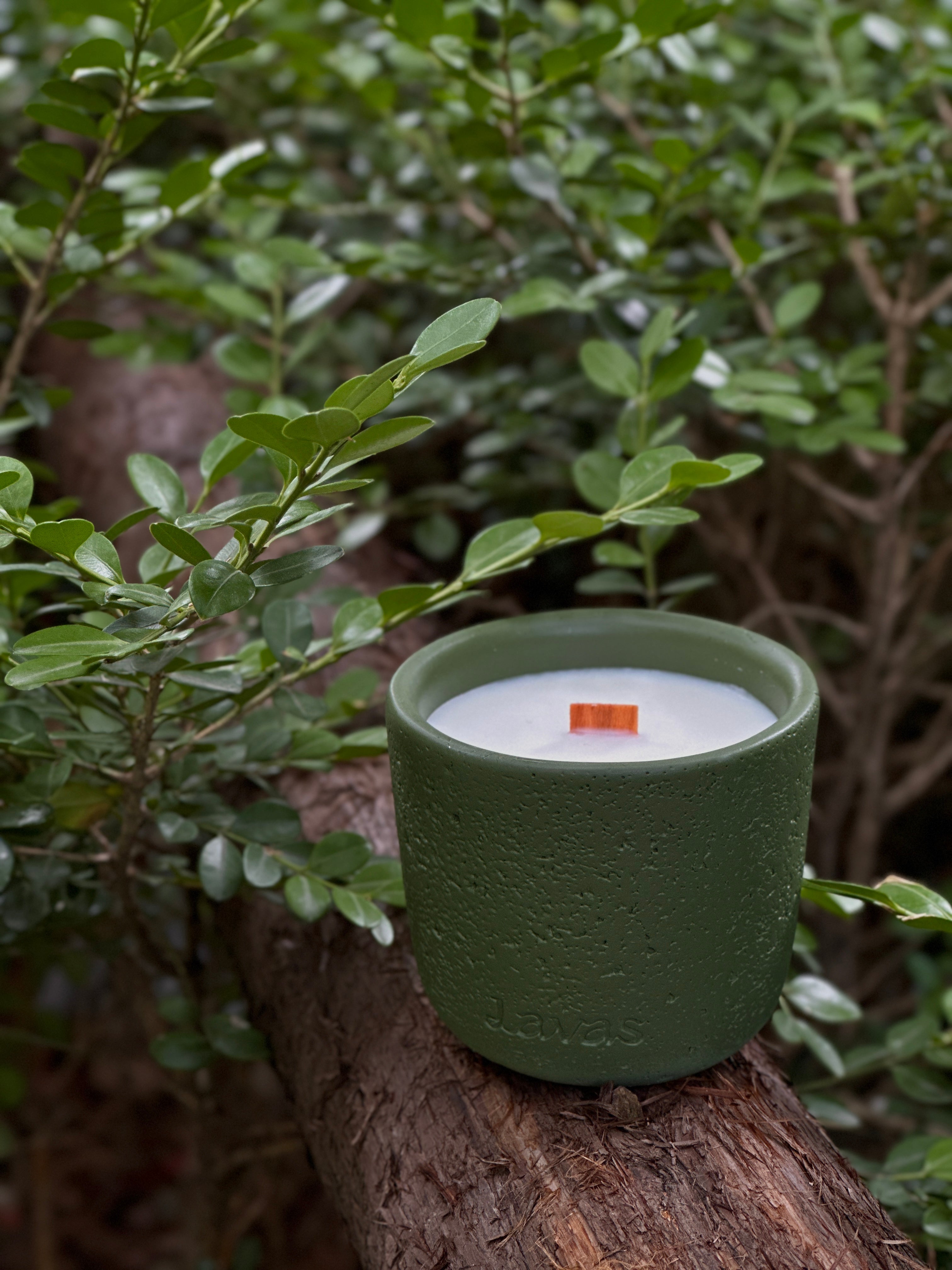 ICELANDIC TUNDRA · Candle — 200g