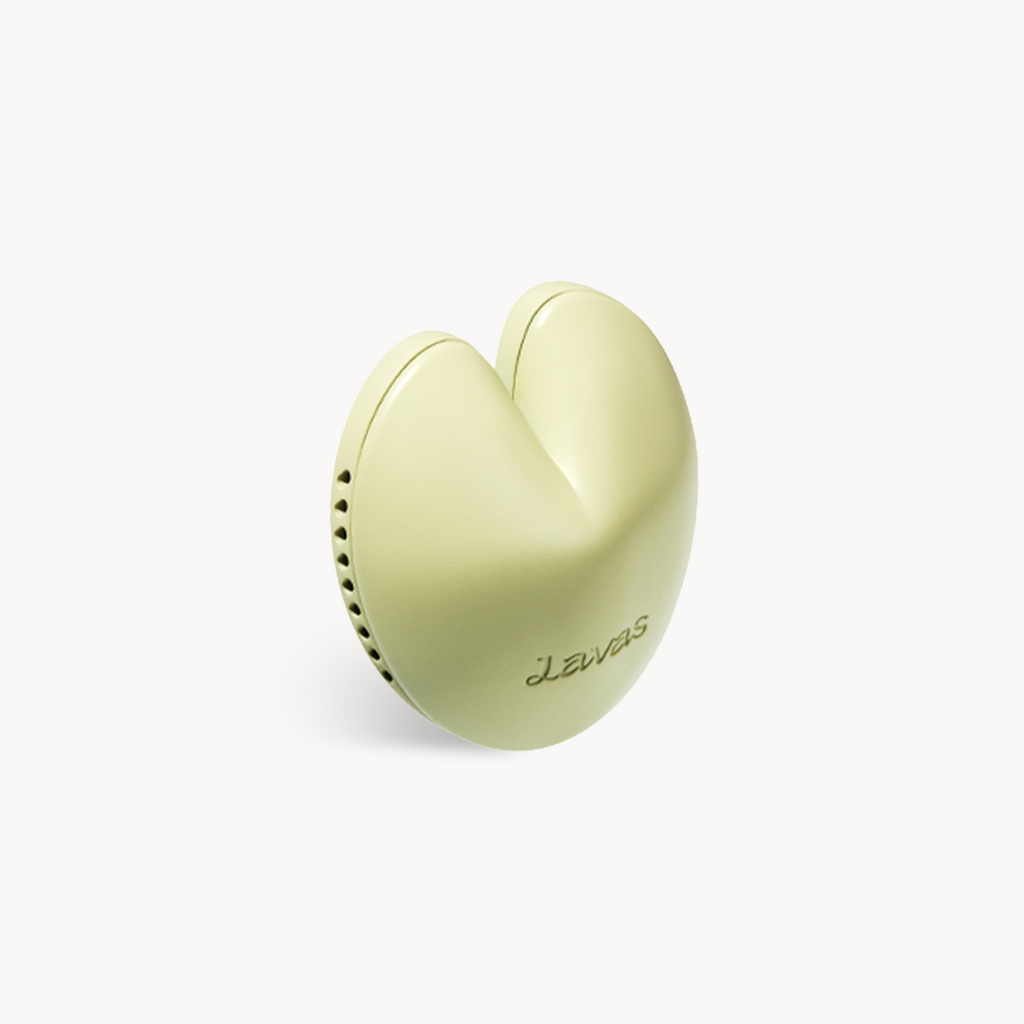 GREEN DAY · Car Diffuser