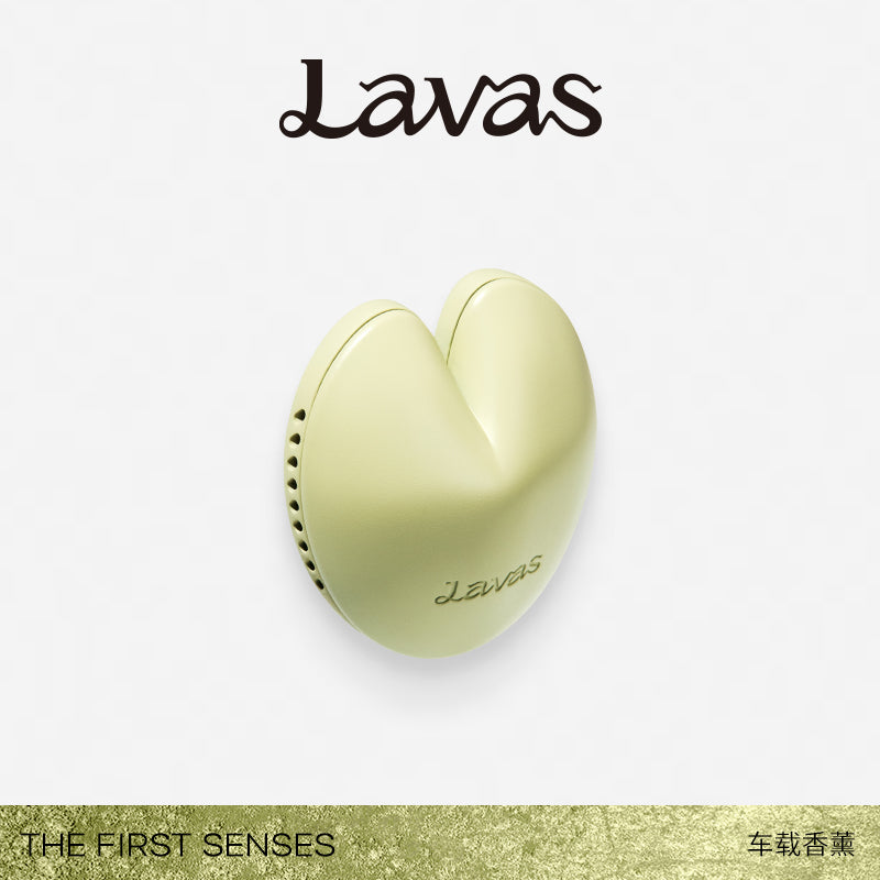 GREEN DAY · Car Diffuser